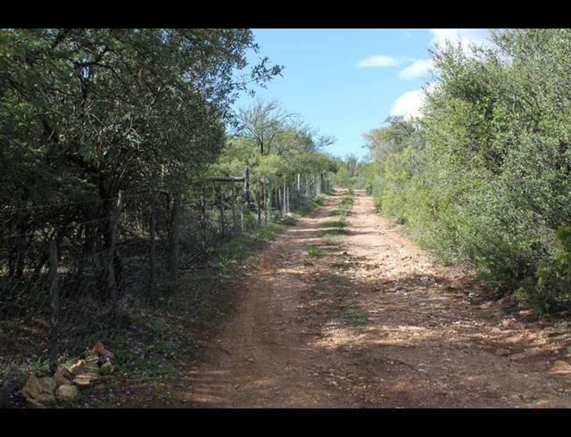 FARM FOR SALE IN OUDTSHOORN RURAL